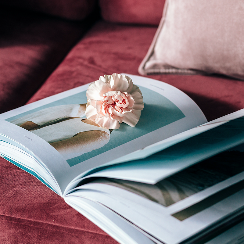 ALYSCAMPS dans la Presse - Novembre 2020